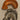 670dca8034be6e479edf2839_img-5728_1750343539042.jpeg