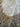 670dca8034be6e479edf2839_img-5753_1781044837767.jpeg