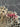 670dca8034be6e479edf2839_img-5754_1781044856425.jpeg