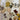 670dca8034be6e479edf2839_img-5766_1775859976589.jpeg