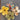 670dca8034be6e479edf2839_img-5778_1781046325651.jpeg