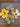 670dca8034be6e479edf2839_img-5778_1781046325651.jpeg