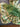 670dca8034be6e479edf2839_img-5781_1781046325652.jpeg