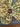 670dca8034be6e479edf2839_img-5784_1781046352987.jpeg