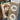 670dca8034be6e479edf2839_img-5811_1781047911560.jpeg