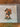 670dca8034be6e479edf2839_img-5880_1781053047626.jpeg