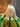 670dca8034be6e479edf2839_img-5922_1781375500882.jpeg
