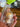 670dca8034be6e479edf2839_img-5945_1787515888955.jpg