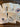 670dca8034be6e479edf2839_img-5957_1781380042142.jpeg