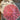 670dca8034be6e479edf2839_img-5976_1781380608339.jpeg