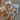 670dca8034be6e479edf2839_img-5997_1781381664720.jpeg