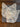 670dca8034be6e479edf2839_img-6005_1781387778548.jpeg