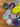 670dca8034be6e479edf2839_img-6022_1781388406338.jpeg