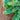 670dca8034be6e479edf2839_img-6080_1781391349497.jpeg