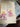 670dca8034be6e479edf2839_img-6103_1779075130052.jpeg