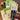 670dca8034be6e479edf2839_img-6215_1781734163842.jpeg