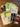 670dca8034be6e479edf2839_img-6215_1781734163842.jpeg