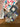 670dca8034be6e479edf2839_img-6233_1781734817467.jpeg