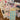 670dca8034be6e479edf2839_img-6237_1781734926702.jpeg