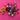 670dca8034be6e479edf2839_img-6243_1769025314888.jpeg