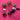 670dca8034be6e479edf2839_img-6244_1769025804086.jpeg