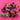 670dca8034be6e479edf2839_img-6247_1769026210079.jpeg