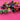 670dca8034be6e479edf2839_img-6248_1769026210080.jpeg