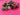670dca8034be6e479edf2839_img-6248_1769026210080.jpeg