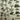 670dca8034be6e479edf2839_img-6270_1780232251730.jpeg