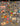 670dca8034be6e479edf2839_img-6309_1786917268098.jpeg