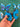 670dca8034be6e479edf2839_img-6424_1777675219656.jpeg