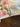 670dca8034be6e479edf2839_img-6523_1781980266543.jpeg