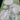 670dca8034be6e479edf2839_img-6537_1750267778987.jpeg
