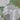 670dca8034be6e479edf2839_img-6539_1750267778987.jpeg