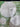 670dca8034be6e479edf2839_img-6541_1750267778988.jpeg