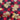 670dca8034be6e479edf2839_img-6547_1754495135381.jpeg