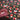 670dca8034be6e479edf2839_img-6565_1756242732566.jpeg