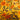 670dca8034be6e479edf2839_img-6637_1754835137286.jpeg