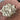 670dca8034be6e479edf2839_img-6689_1781154640098.jpeg