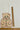 670dca8034be6e479edf2839_img-6714_1756242939505.jpeg