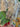 670dca8034be6e479edf2839_img-6793_1783297874079.jpeg