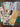 670dca8034be6e479edf2839_img-6799_1783298239062.jpeg
