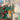 670dca8034be6e479edf2839_img-6834_1783299934407.jpeg