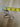 670dca8034be6e479edf2839_img-6874_1775869900125.jpeg