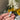 670dca8034be6e479edf2839_img-6886_1775869243526.jpeg