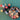 670dca8034be6e479edf2839_img-6915_1783442276973.jpeg