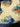 670dca8034be6e479edf2839_img-6920_1784328631092.jpeg