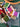 670dca8034be6e479edf2839_img-6967_1783466223940.jpeg