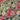 670dca8034be6e479edf2839_img-6984_1783466759050.jpeg