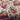 670dca8034be6e479edf2839_img-7047_1756333231454.jpeg